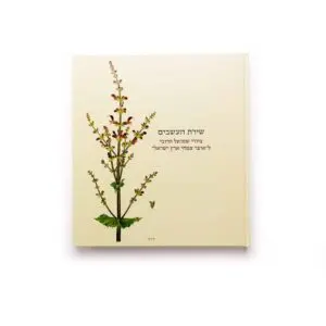 The Botanist’s Brush: Shmuel Charuvi’s Drawings for the Hareuveni Floral Treasury of the Land of Israel