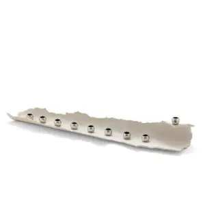Nature Menorah