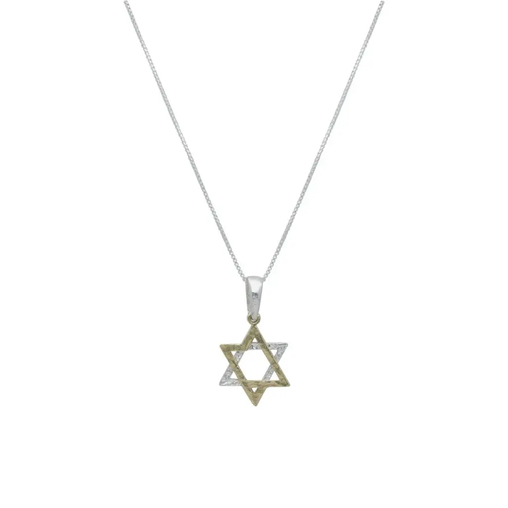 שרשרת עם תליון מצופה זהב - מגן דוד דו-טון
