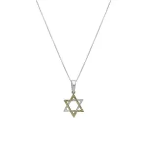 שרשרת עם תליון מצופה זהב - מגן דוד דו-טון