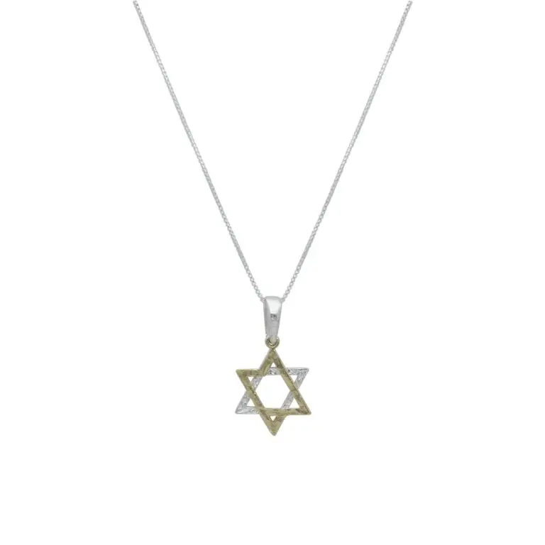 שרשרת עם תליון מצופה זהב - מגן דוד דו-טון