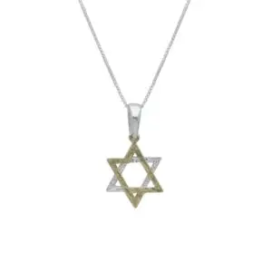 שרשרת עם תליון מצופה זהב - מגן דוד דו-טון