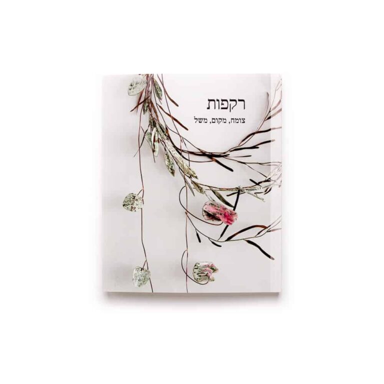 רקפות: צומח