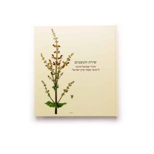 The Botanist’s Brush: Shmuel Charuvi’s Drawings for the Hareuveni Floral Treasury of the Land of Israel