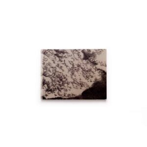 יומן אבק: אמנות ישראלית עכשווית