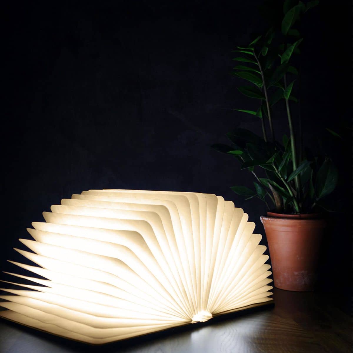 מנורת ספר בכריכת עץ – גדול