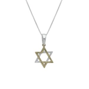 שרשרת עם תליון מצופה זהב - מגן דוד דו-טון