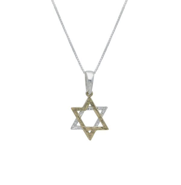 שרשרת עם תליון מצופה זהב - מגן דוד דו-טון